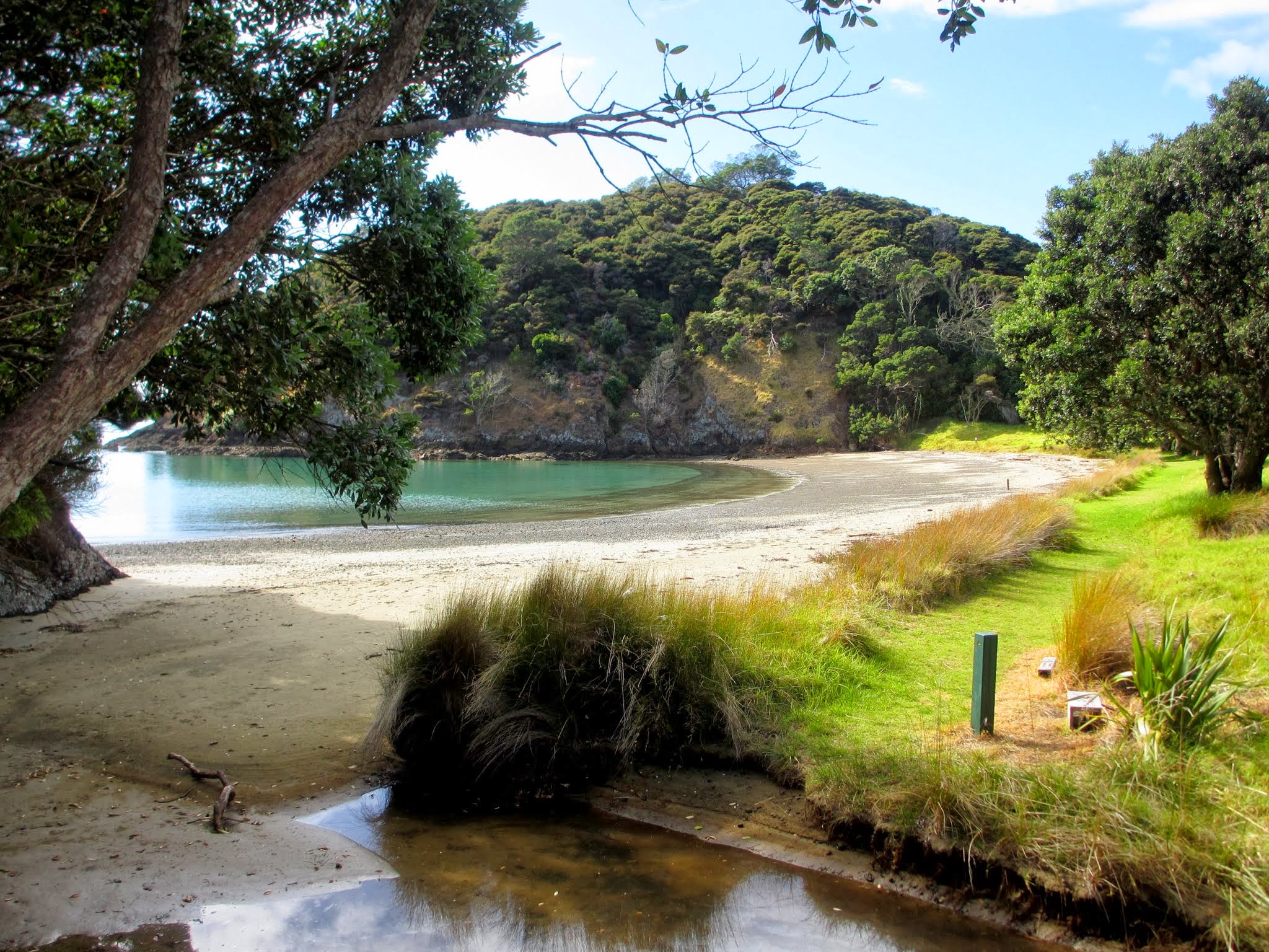 Bay Of Islands: Hiking Around Motorua Island (new Zealand) – Two At Sea