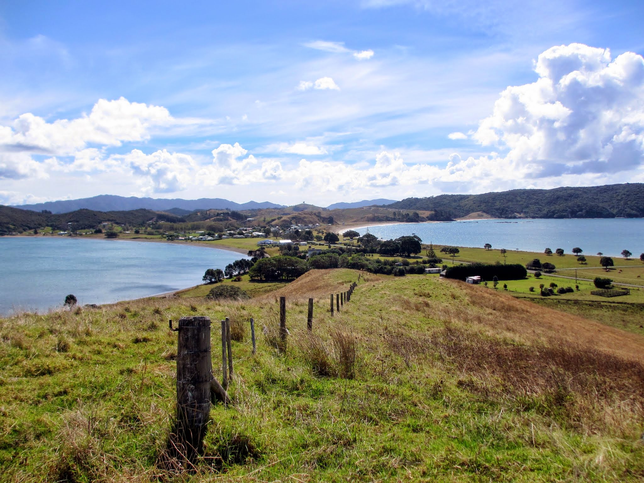 The New Zealand Coast: Whangaruru Harbour and the Walk to Bland Bay ...