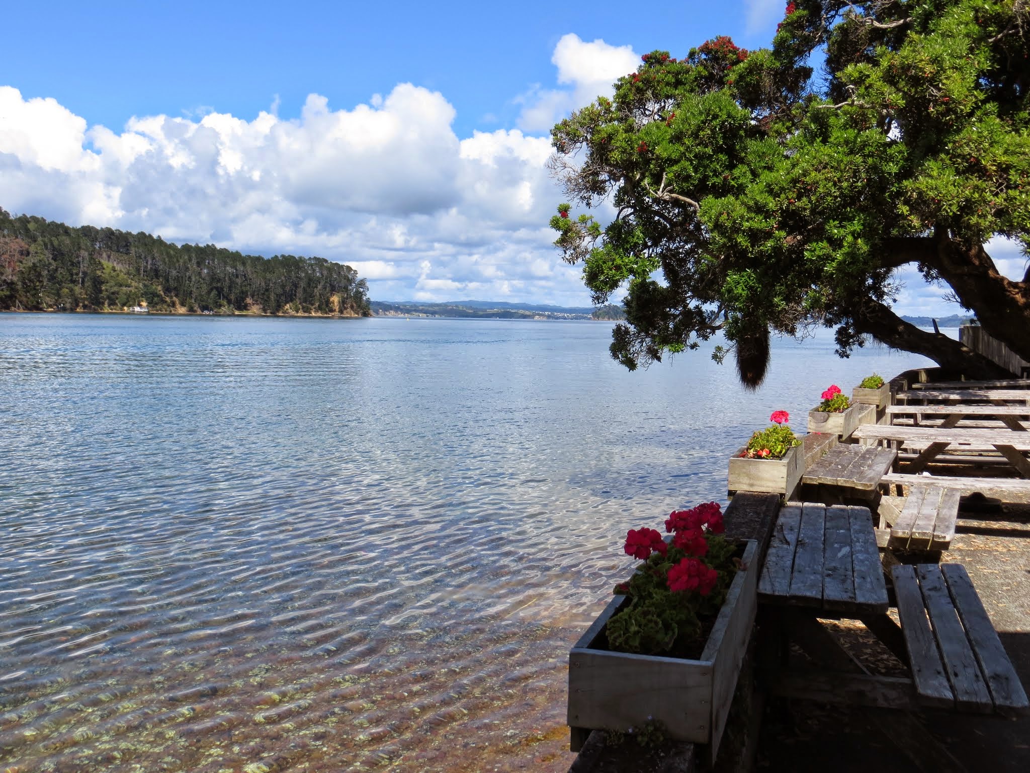 kawau island yacht club menu