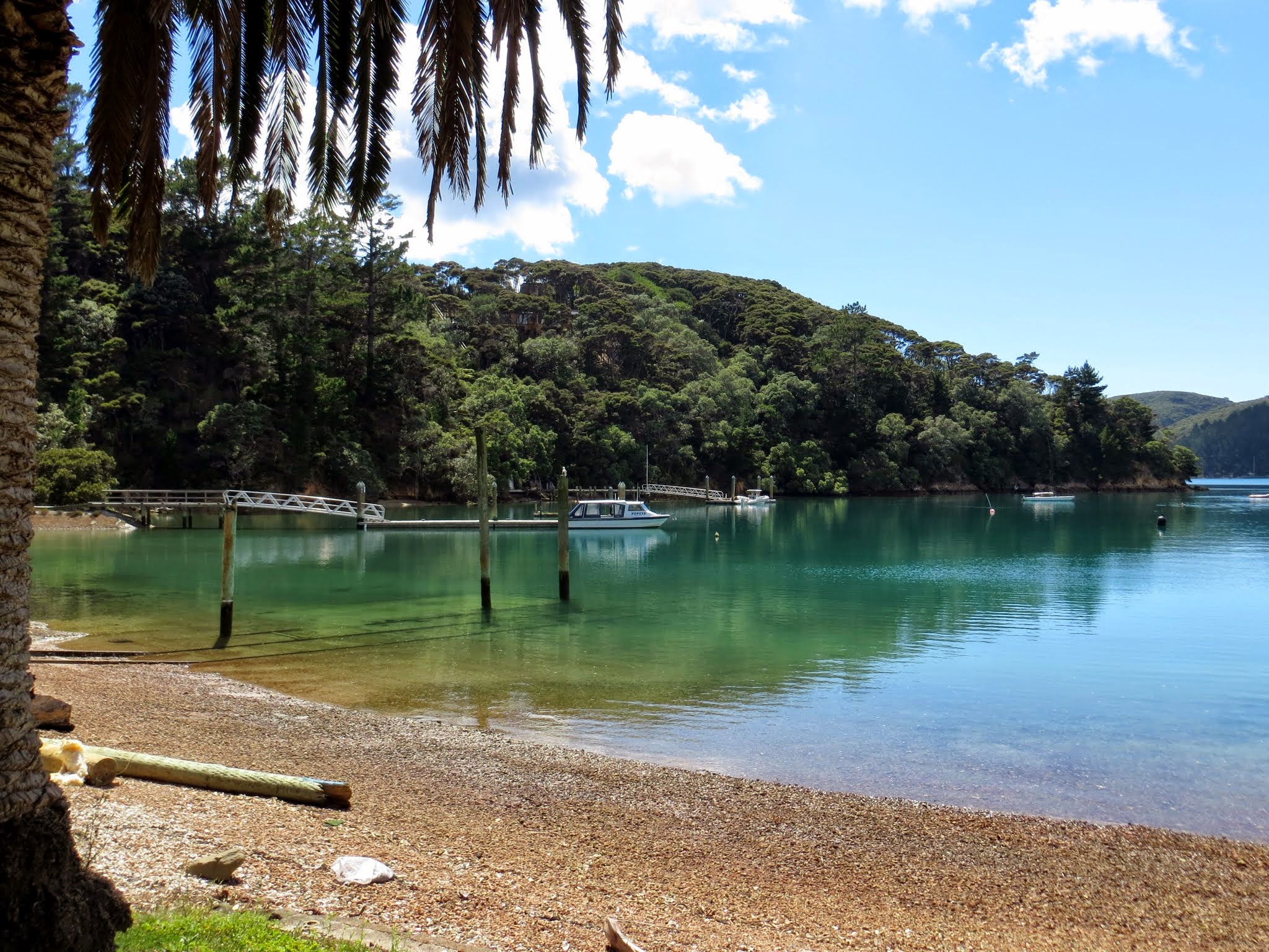 kawau island yacht club