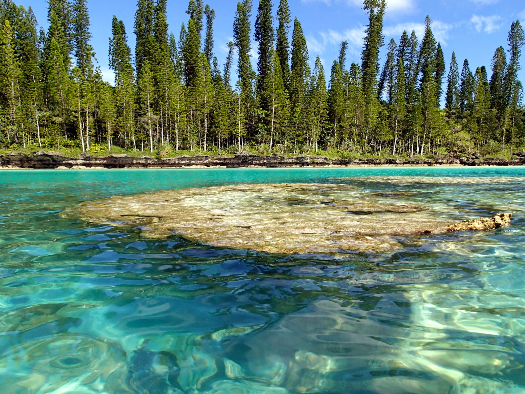 Ile Des Pins Day 1 New Caledonia Two At Sea