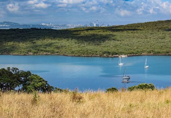 Lovely Motutapu Island (Hauraki Gulf, New Zealand) – Two At Sea