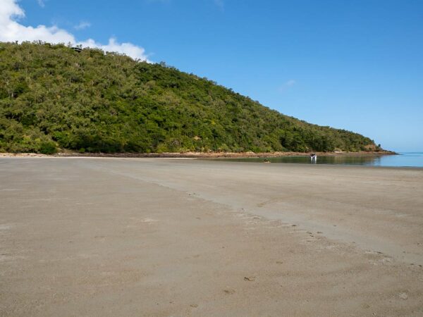 Enchanting Keswick Island The Cumberland Islands Queensland